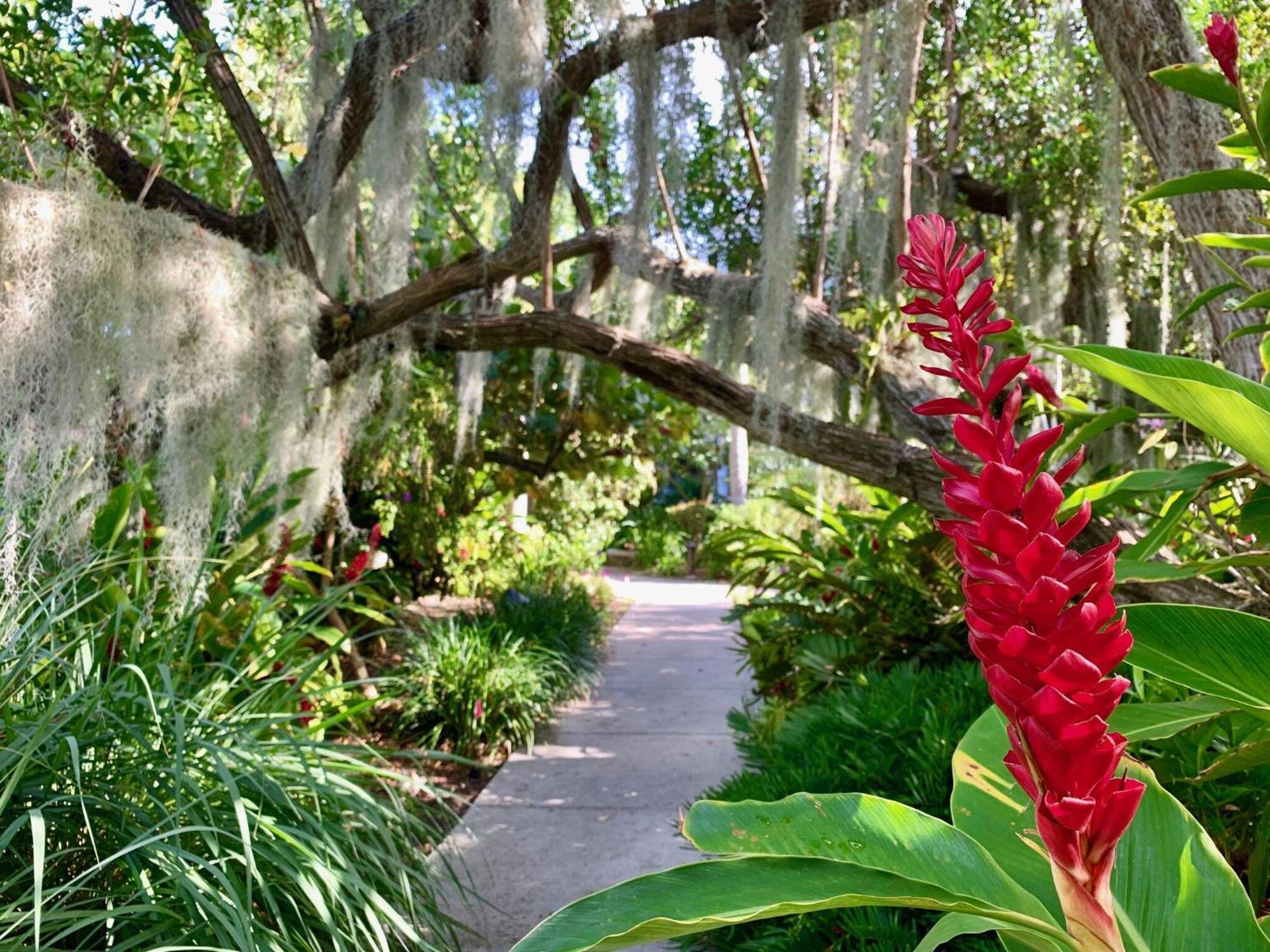 Beautifully Renovated Summer Of 2020 Come And Enjoy This Lovely Unit Key West Exterior photo